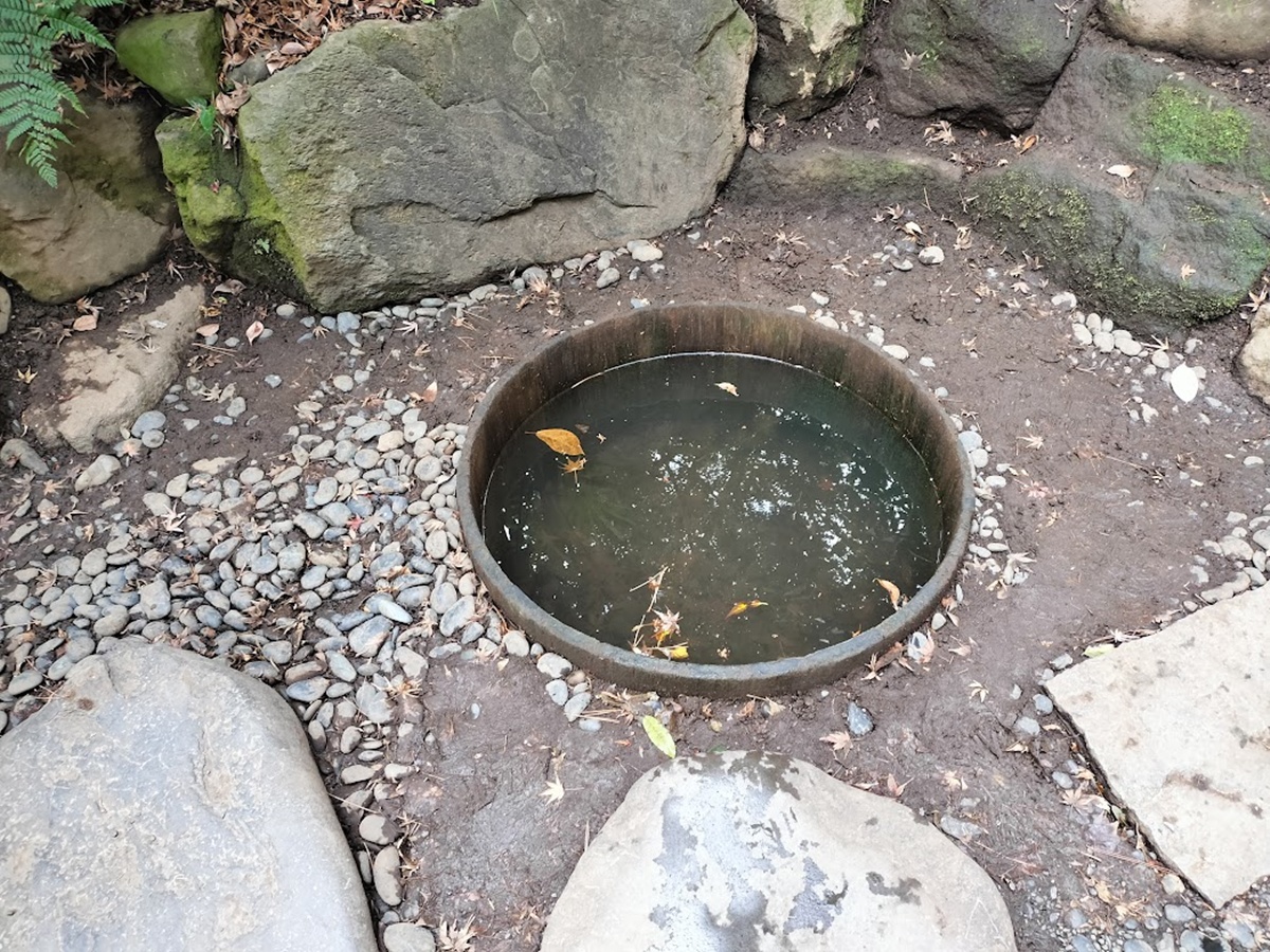 水が少なくなった明治神宮の清正の井戸
